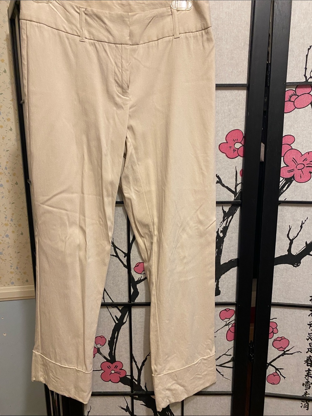Express Men's Beige Dress Pants - Light Neutral Trousers